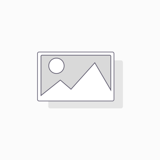 Software Maintenance - 6 Months